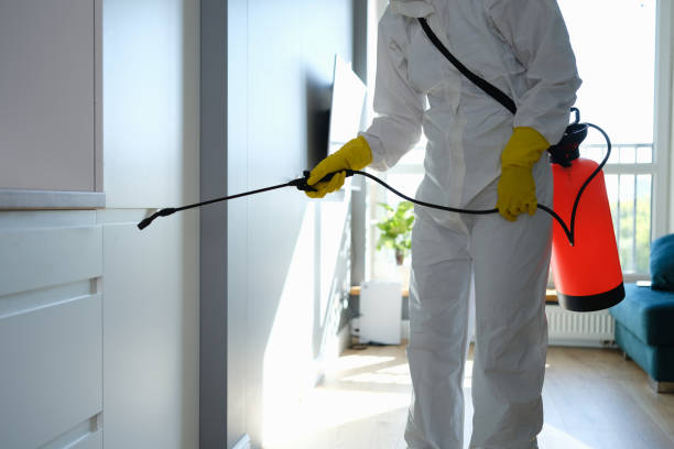Crawl Space Mold Removal in Rancho Viejo, TX